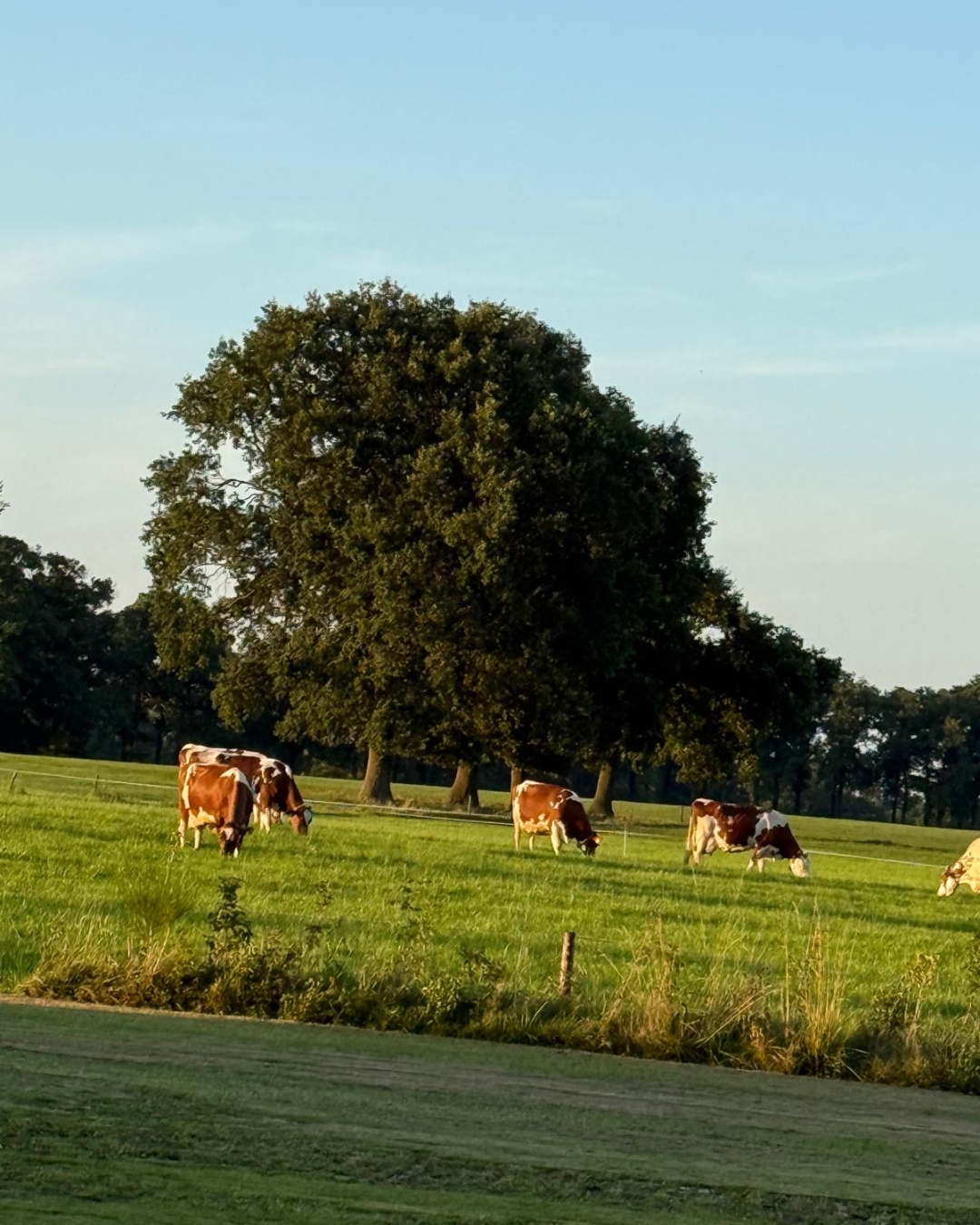 camping het meinen vragender