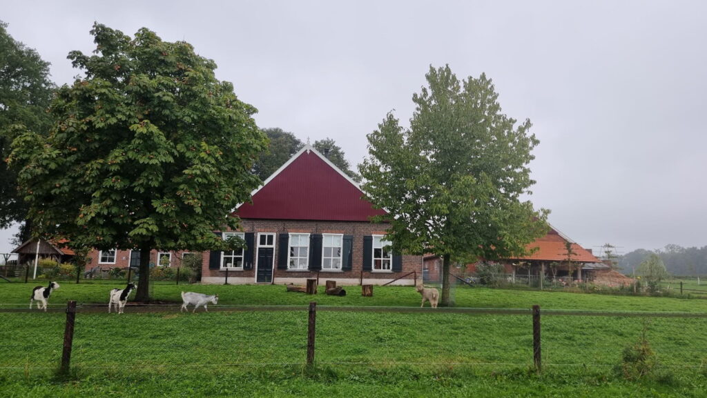 camping het meinen vragender